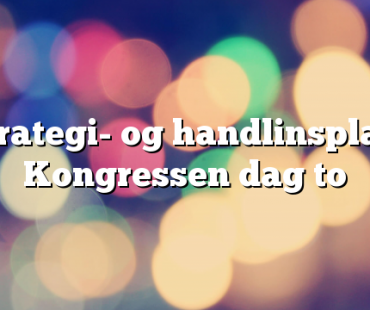 Strategi- og handlinsplan: Kongressen dag to