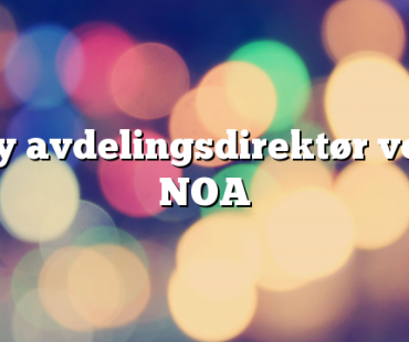 Ny avdelingsdirektør ved NOA