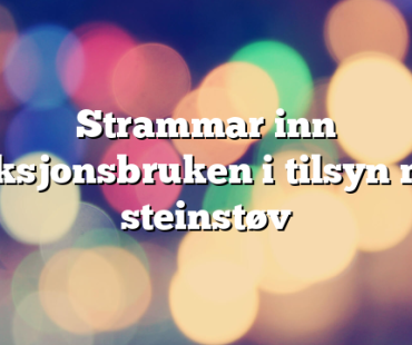 Strammar inn reaksjonsbruken i tilsyn med steinstøv