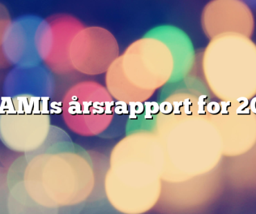 STAMIs årsrapport for 2024