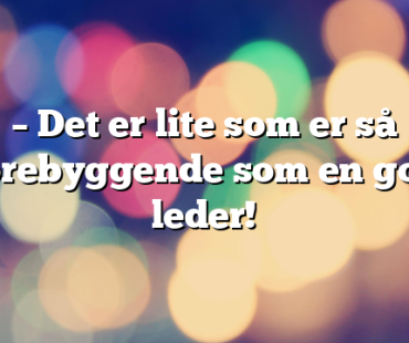 – Det er lite som er så forebyggende som en god leder!