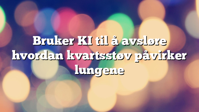 Bruker KI til å avsløre hvordan kvartsstøv påvirker lungene